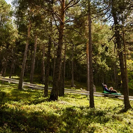 Moderno A Pie De Pistas 4pax, Pk Gn Arinsal